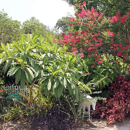 Heron Cay Lakeview Bed & Breakfast Mount Dora Exterior photo