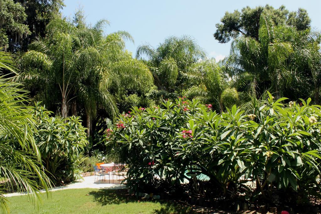 Heron Cay Lakeview Bed & Breakfast Mount Dora Exterior photo