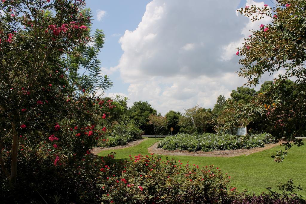 Heron Cay Lakeview Bed & Breakfast Mount Dora Exterior photo