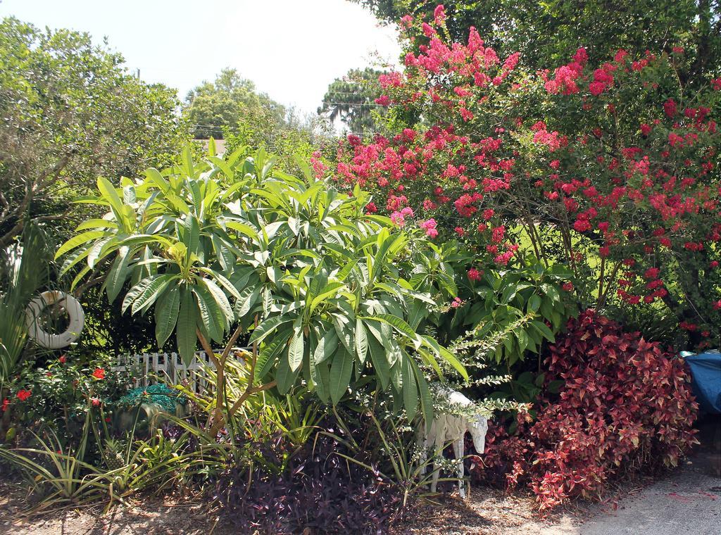 Heron Cay Lakeview Bed & Breakfast Mount Dora Exterior photo